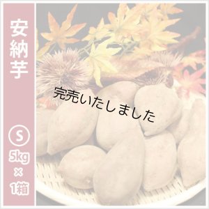 画像2: 安納芋と安納黄金(こがね)食べ比べ2箱セット　Sサイズ  【2024年度のご予約スタート！お届けは12月初旬予定！】  