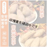 安納芋と安納黄金(こがね)食べ比べ2箱セット　Mサイズ   【2024年度のご予約スタート！お届けは12月初旬予定！】  