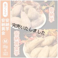 安納芋と安納黄金(こがね)食べ比べ2箱セット　Mサイズ   【2024年度のご予約スタート！お届けは12月初旬予定！】  