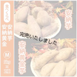 画像1: 安納芋と安納黄金(こがね)食べ比べ2箱セット　Mサイズ   【2024年度のご予約スタート！お届けは12月初旬予定！】  