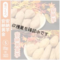 安納芋と安納黄金(こがね)食べ比べ2箱セット　Sサイズ  【2024年度のご予約スタート！お届けは12月初旬予定！】  