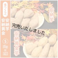 安納芋と安納黄金(こがね)食べ比べ2箱セット　Sサイズ  【2024年度のご予約スタート！お届けは12月初旬予定！】  