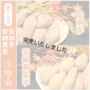 画像1: 安納芋と安納黄金(こがね)食べ比べ2箱セット　Sサイズ  【2024年度のご予約スタート！お届けは12月初旬予定！】  