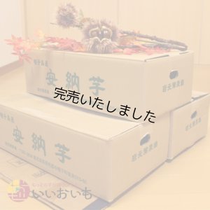 画像3: 安納黄金　コロコロサイズ(3箱セット)   【今シーズンの受付は終了いたしました。】  