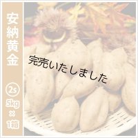 安納黄金　コロコロサイズ  【今シーズンの受付は終了いたしました。】  