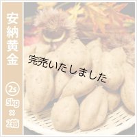 安納黄金　コロコロサイズ(2箱セット)   【今シーズンの受付は終了いたしました。】  