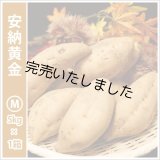 安納黄金　Mサイズ   【今シーズンの受付は終了いたしました。】  