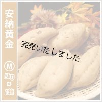 安納黄金　Mサイズ   【今シーズンの受付は終了いたしました。】  