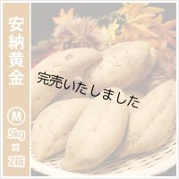 安納黄金　Mサイズ(2箱セット)   【今シーズンの受付は終了いたしました。】  