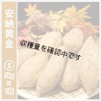 安納黄金　Sサイズ   【2024年度のご予約スタート！お届けは12月初旬予定！】  