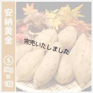 画像1: 安納黄金　Sサイズ   【今シーズンの受付は終了いたしました】  