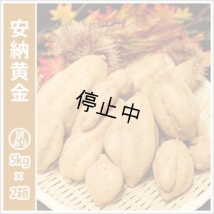 画像1: 訳あり安納黄金(2箱セット)   【選別後 収穫量を見て販売可能か判断いたします】  