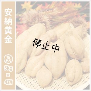 画像1: 訳あり安納黄金(4箱セット)  【選別後 収穫量を見て販売可能か判断いたします】  