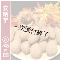 安納芋　コロコロ2Sサイズ(3箱セット)   【2024年度のご予約スタート！お届けは12月初旬予定！】  