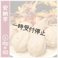 安納芋　Lサイズ(2箱セット)   【2024年度のご予約スタート！お届けは12月初旬予定！】  