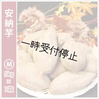 安納芋　Mサイズ(2箱セット)   【2024年度のご予約スタート！お届けは12月初旬予定！】  