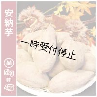 安納芋　Mサイズ(4箱セット)   【2024年度のご予約スタート！お届けは12月初旬予定！】  