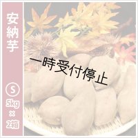 安納芋　Sサイズ(2箱セット)  【2024年度のご予約スタート！お届けは12月初旬予定！】  