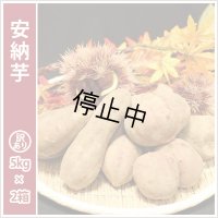 訳あり安納芋(2箱セット)  【選別後 収穫量を見て販売可能か判断いたします】  