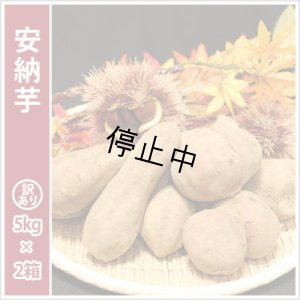 画像1: 訳あり安納芋(2箱セット)  【選別後 収穫量を見て販売可能か判断いたします】  