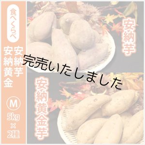 画像: 安納芋と安納黄金(こがね)食べ比べ2箱セット　Mサイズ   【2024年度のご予約スタート！お届けは12月初旬予定！】  