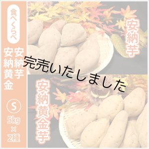 画像: 安納芋と安納黄金(こがね)食べ比べ2箱セット　Sサイズ  【2024年度のご予約スタート！お届けは12月初旬予定！】  