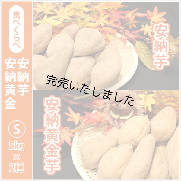 画像1: 安納芋と安納黄金(こがね)食べ比べ2箱セット　Sサイズ<br><span class="red">【2024年度のご予約スタート！お届けは12月初旬予定！】</span><br /> (1)