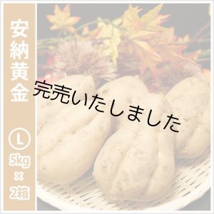 画像: 安納黄金　Lサイズ(2箱セット)  【今シーズンの受付は終了いたしました。】  