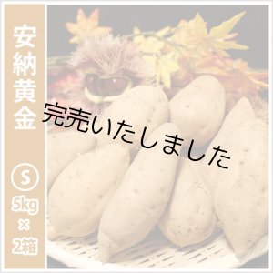 画像: 安納黄金　Sサイズ(2箱セット)   【今シーズンの受付は終了いたしました。】  