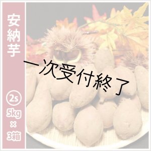 画像: 安納芋　コロコロ2Sサイズ(3箱セット)   【2024年度のご予約スタート！お届けは12月初旬予定！】  