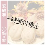 画像: 安納芋　Lサイズ(2箱セット)   【2024年度のご予約スタート！お届けは12月初旬予定！】  