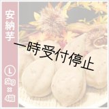 画像: 安納芋　Lサイズ(4箱セット)   【2024年度のご予約スタート！お届けは12月初旬予定！】  