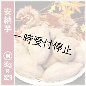 画像: 安納芋　Mサイズ(2箱セット)   【2024年度のご予約スタート！お届けは12月初旬予定！】  