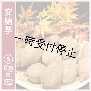 画像: 安納芋　Sサイズ(3箱セット)   【2024年度のご予約スタート！お届けは12月初旬予定！】   