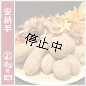 画像: 訳あり安納芋(3箱セット)  【選別後 収穫量を見て販売可能か判断いたします】  